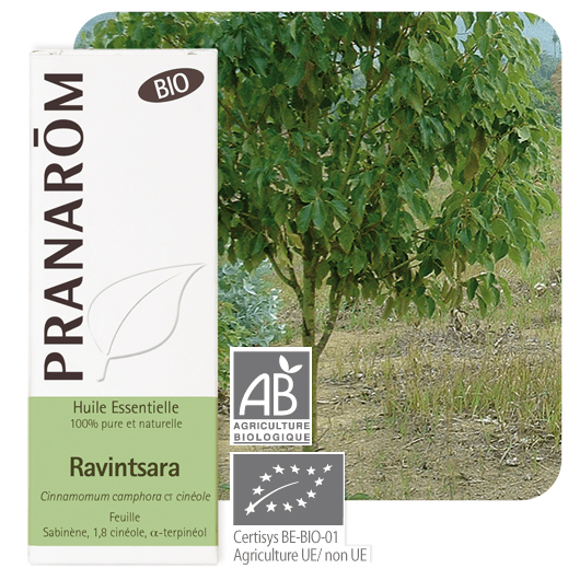 Pranarôm