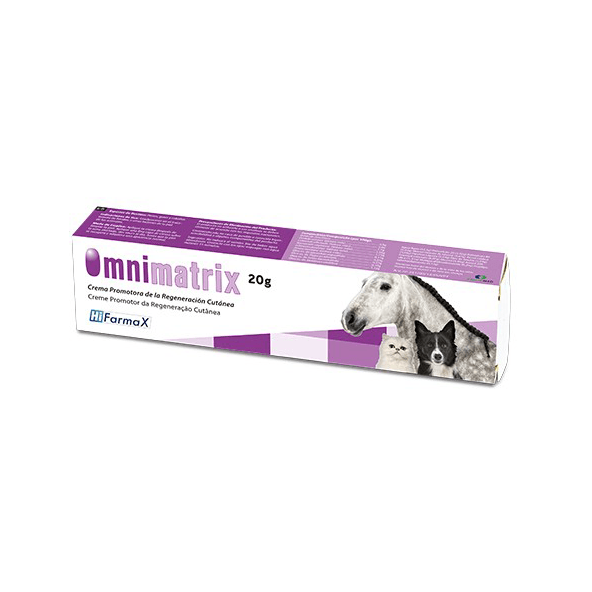 Omnimatrix