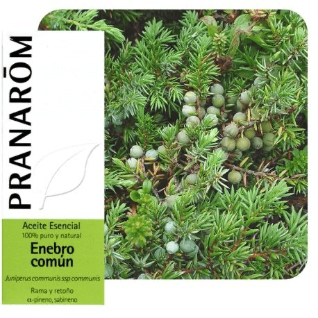 Pranarôm