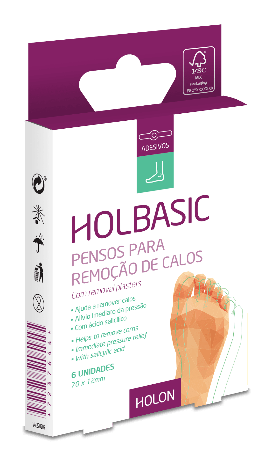 Holbasic