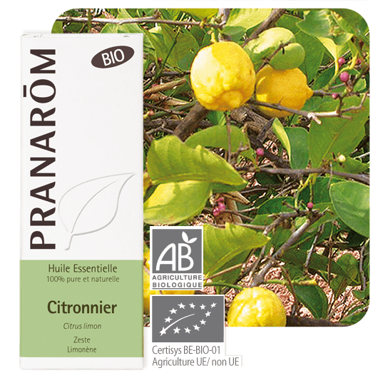 Pranarôm