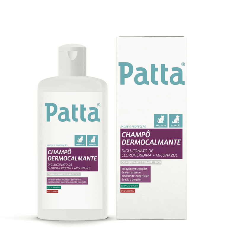 Patta