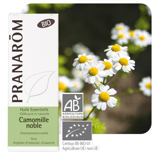 Pranarôm