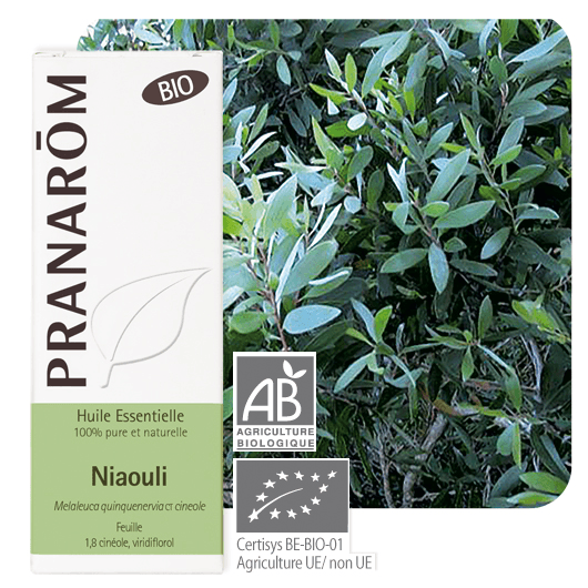 Pranarôm
