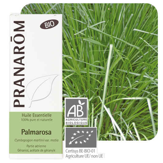 Pranarôm