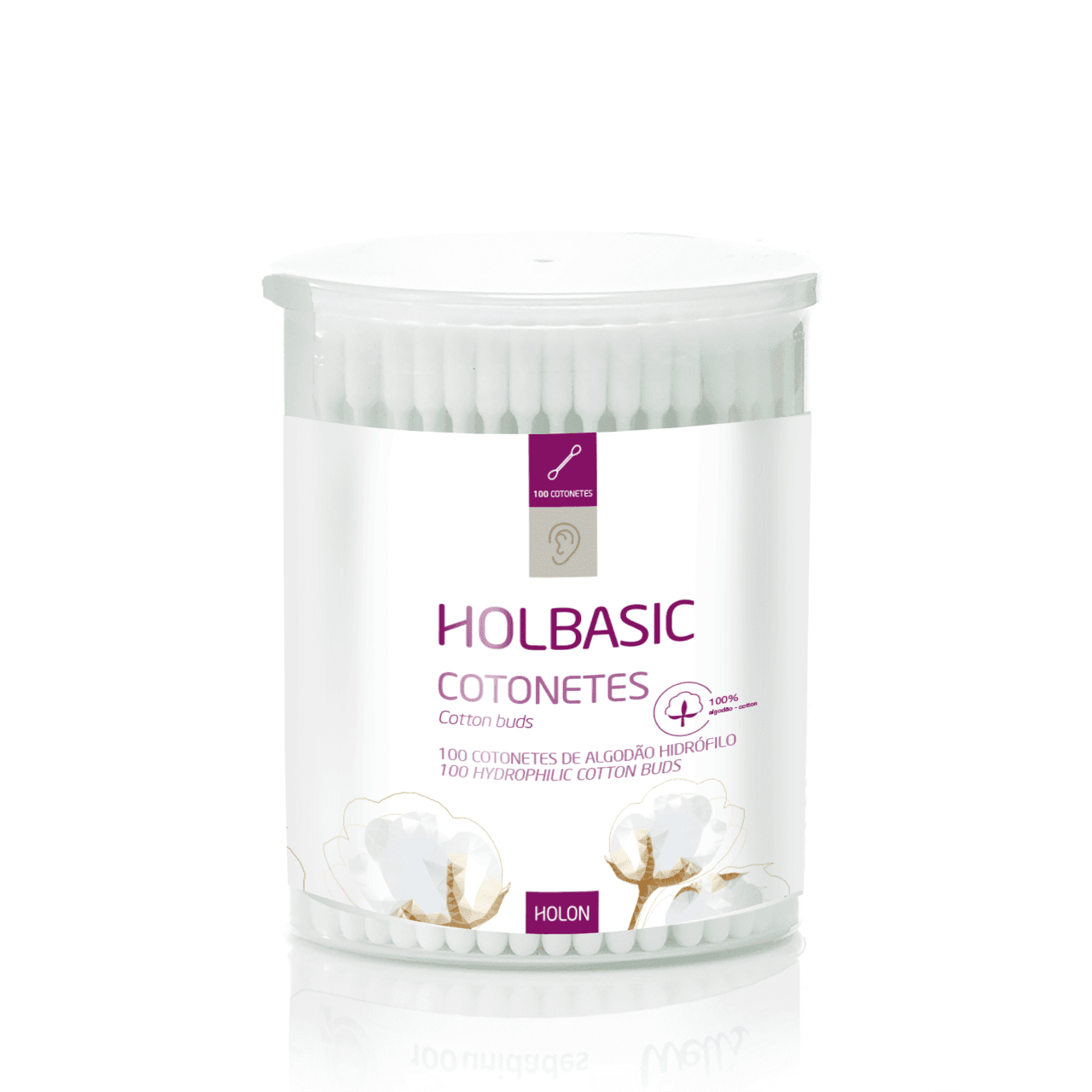 Holbasic