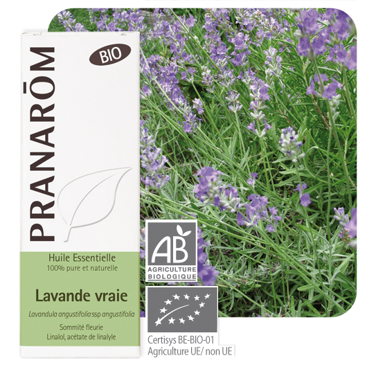 Pranarôm Pranarôm