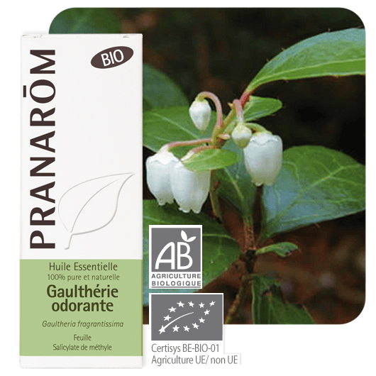 Pranarôm