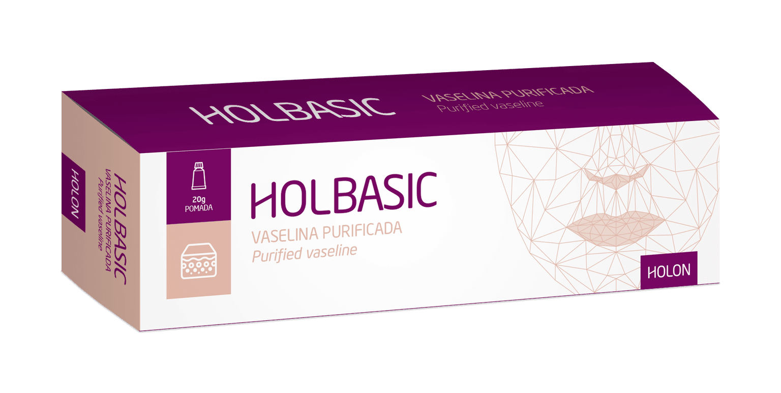 Holbasic