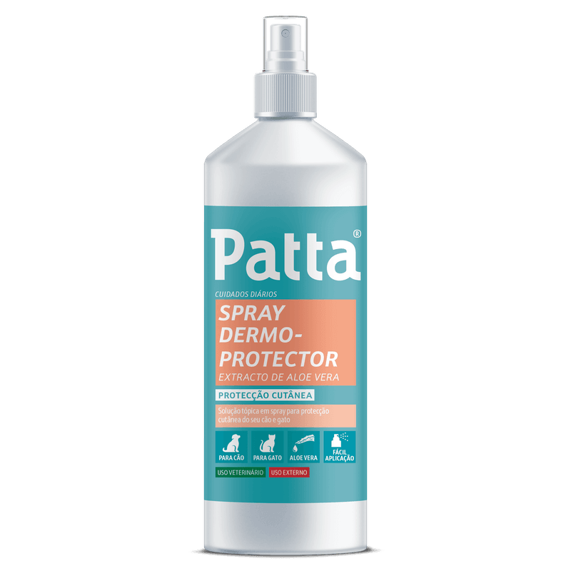 Patta