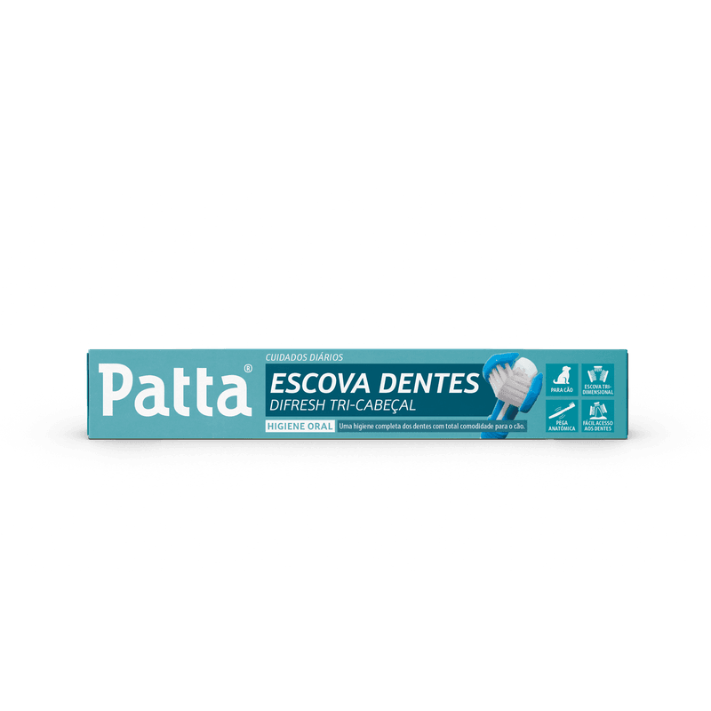 Patta
