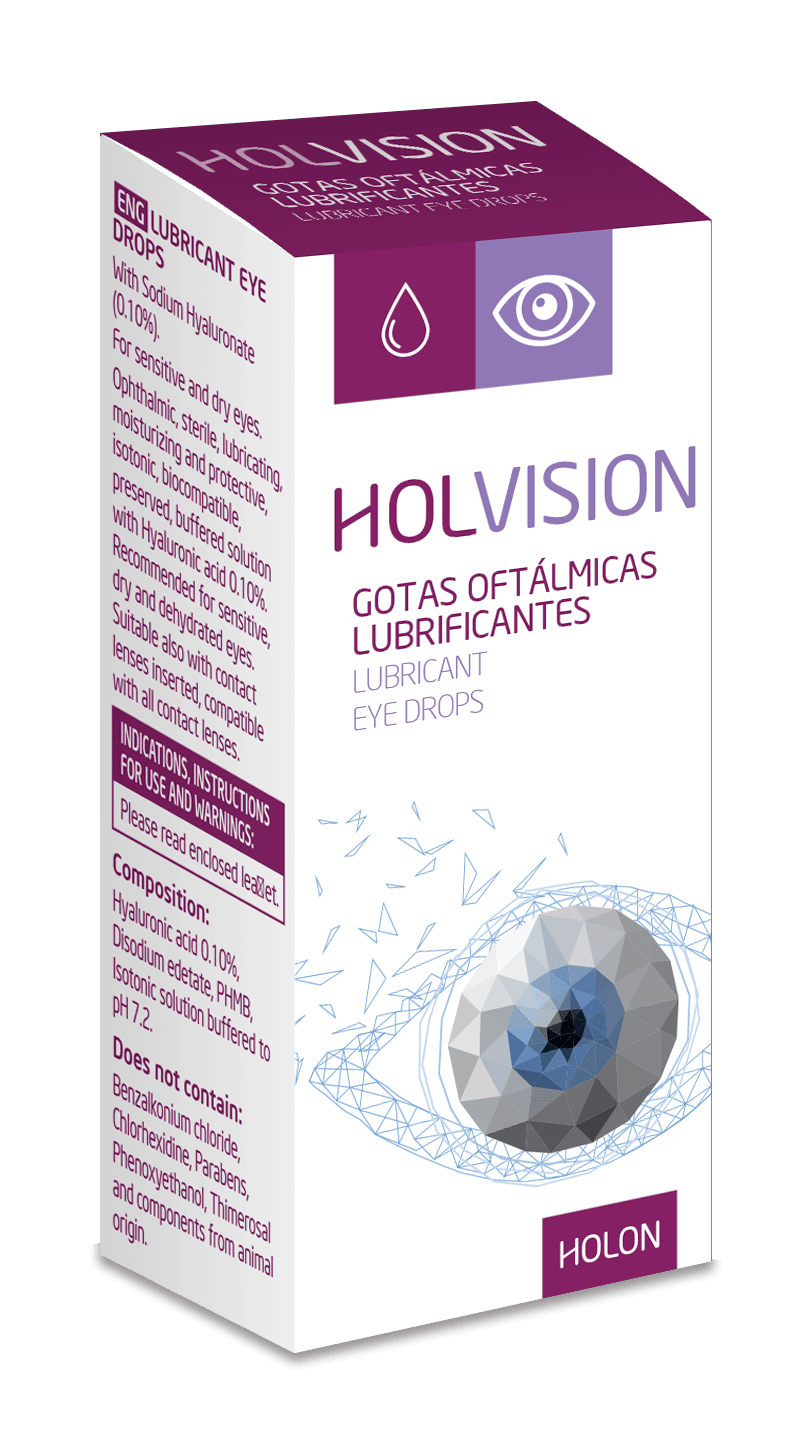 Holvision