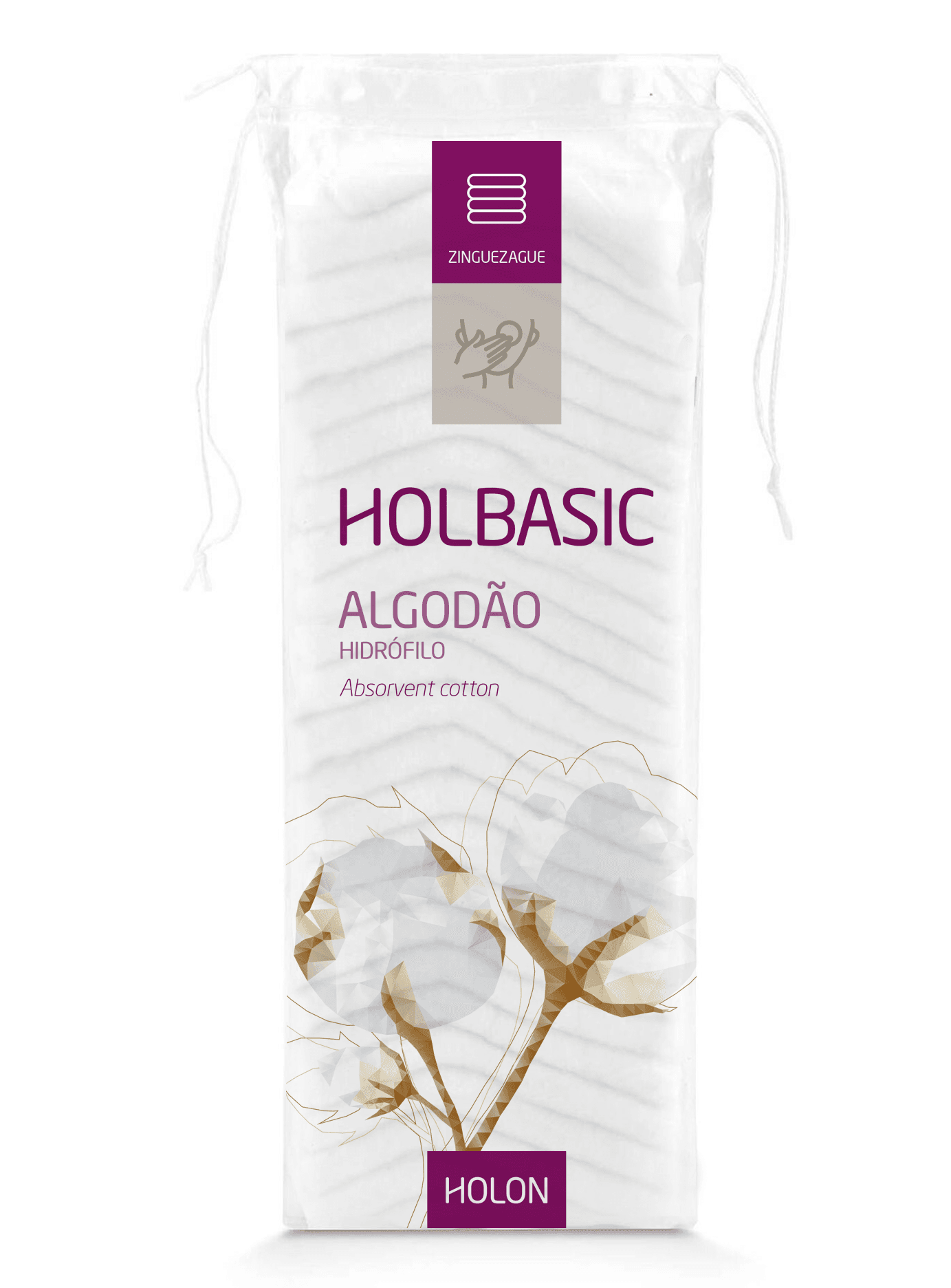 Holbasic