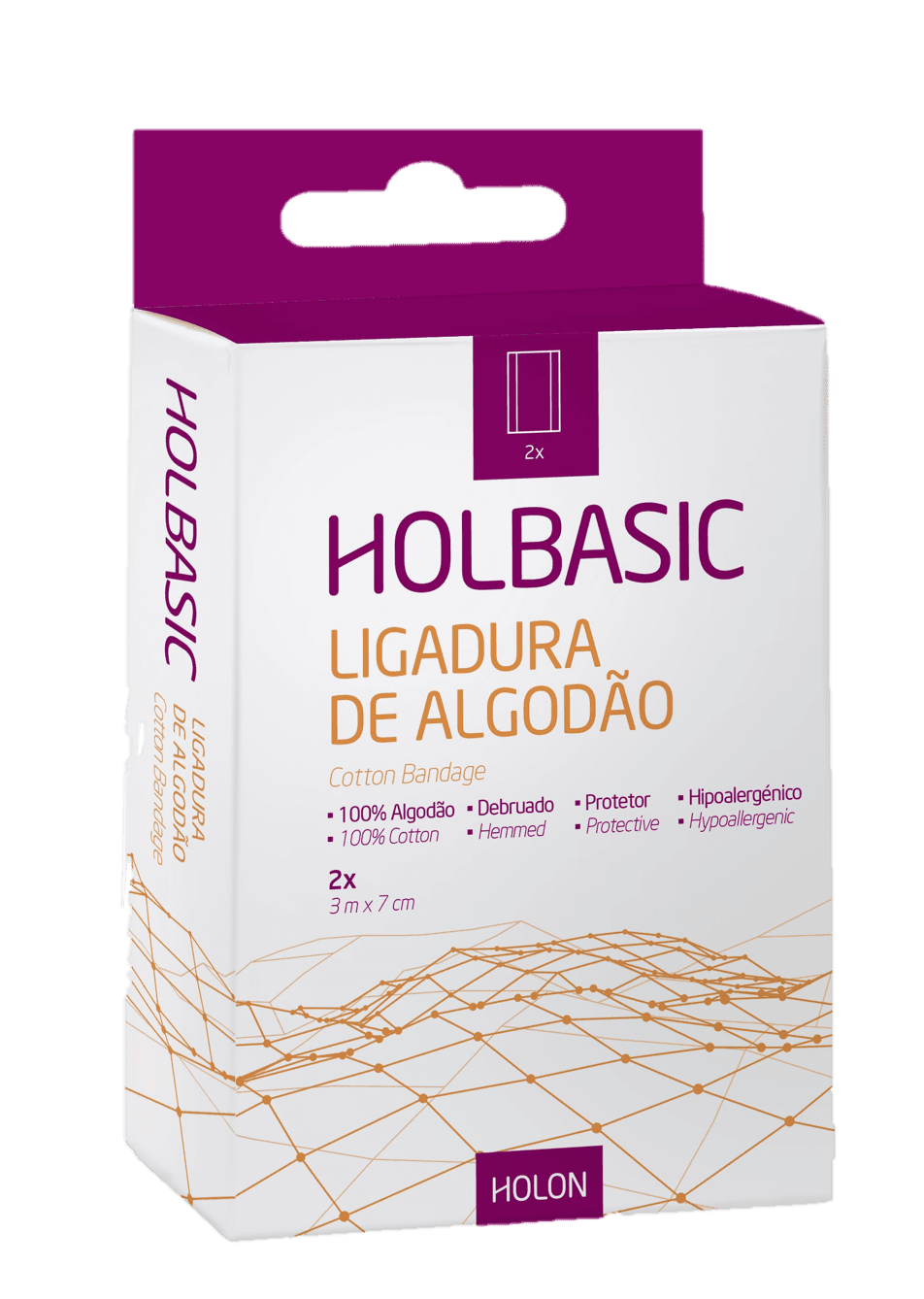 Holbasic
