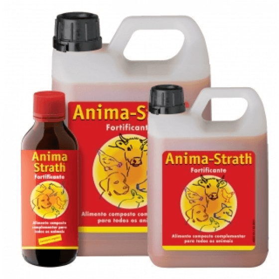 Anima Strath